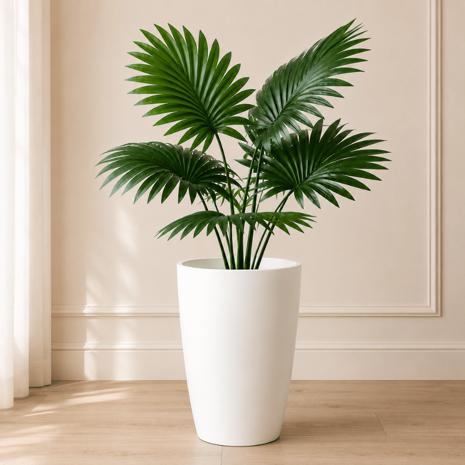 Scanshop India Elegant Indoor Plants With Pot 3