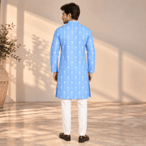Krishna Ethnic Men Sky Blue Dotted Stripe Printed Kurta (3)